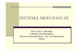 SISTEMA NERVIOSO III - dea.unsj.edu.ardea.unsj.edu.ar/biologia2/Cerebelo y   CEREBELO Ocupa porci³n