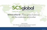 Silvicultura: Principios básicos - …biblioteca.semarnat.gob.mx/janium/Documentos/Ciga/Libros2014/CD... · Dos perfiles de vegetación de dos zonas de vida diferentes (Holdridge