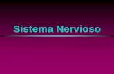 Sistema Nervioso - Semillero de Bioquimica INEM · PDF file(31 pares) Sistema Nervioso Sistema Nervioso Central EL SISTEMA NERVIOSO ESTÁ SUBDIVIDIDO EN: CEREBRO CEREBELO TRONCO CEREBRAL.