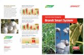 Brandt Smart System - brandteurope.combrandteurope.com/wp-content/uploads/2017/09/TRIPTICO-DEFINITIVO... · n Reduce el estrés causado por la aplicación de herbicidas n 3% Zinc