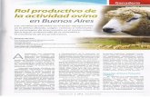 productivo de la actividad... · Rol productivo de la actividad ovina en Buenos Aires ... una fuene orientación hacia la produc- ción de lana y carne, que concentra, según el Censo