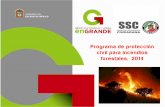 Programa de protección civil para incendios forestales, …proteccioncivil.gob.mx/work/models/ProteccionCivil/Resource/715/1... · combustibles del suelo hacia las copas de los árboles,
