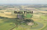 Bata Field - Thurrock Community Forums · On June 24th the Secretary of State allowed the appeal for 299 dwellings at land at Bata Field, East Tilbury. The Secretary of State’s