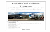 PROYECTO - seam.gov.py · relatorio de impacto ambiental (preliminar) proyecto “estacion de servicio con expendio de combustibles liquidos, gpl, venta de garrafas, venta de