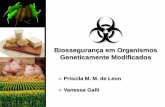 Biossegurança em Organismos Geneticamente … · Animais Geneticamente Modificados ... tóxicas para animais, incluindo o homem, ou vegetais e que, para tais toxinas, existam formas