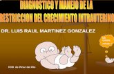 DR. LUIS RAUL MARTINEZ GONZALEZ - .la velocimetria doppler da la informacion mas importante para