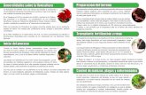 Generalidades sobre la floricultura Preparación del …repositorio.iica.int/bitstream/11324/3163/1/BVE17089168e.pdf · Generalidades sobre la floricultura Preparación del terreno
