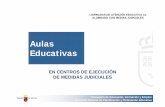 EN CENTROS DE EJECUCIÓN DE MEDIDAS …servicios.educarm.es/templates/portal/ficheros/websDina... · 2013-03-06 · zPrueba inicial de Competencia Curricular zEntrevista personal
