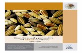 Documento de Arroz - gob.mx · producción de arroz en el mundo es de esta última subespecie, la cual se caracteriza por su elasticidad y su calidad gustativa. • Oryza glaberrima