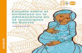 Estudio sobre el embarazo en la adolescencia en 14 ...bolivia.unfpa.org/sites/default/files/pub-pdf/Cartilla_Embarazo... · terizó por la recolección de los datos existentes de