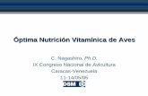 Óptima Nutrición Vitamínica de Aves - AECA - WPSA · Función metabólica de las vitaminas 1.- Participan en transferencia de grupos, diferentes a H+: -Metabolismo de ácidos nucleicos.