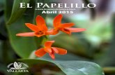 El Papelillo - Vallarta Botanical Gardens -€¦ · Reporte sobre los Programas Educativos y de Voluntariado JBV ... Oaxaca, Veracruz, Tabasco, Chiapas, Quintana Roo y Yucatán),