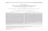 Revisión: Mecanismos moleculares de la …tecnociencia.uach.mx/numeros/v6n1/data/Revision... · 2012-03-29 · relevantes de la neurofibromatosis tipo 2 (NF2), ... mutación para