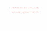 REACCION DE MAILLARD M.S.c. Br. LUIS ARTICA M. · 2015-12-06 · 18 B. REACCIÓN DE MAILLARD EN ALIMENTOS 1. Aspectos generales La RM ha sido reconocida durante más de 60 años como