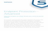 Endpoint Protection— Advanced · Protección de sistemas Windows, Mac, Linux, UNIX y virtuales desde una misma consola de administración. ... Sophos Client Firewall ... Protección