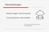 Hemorragia intracraneal Convulsiones neonatalescampus.usal.es/~ogyp/Clases teoricas 2012 2013/Neonatologia... · periodo neonatal Importante problema clínico relativa alta frecuencia.