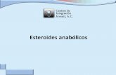 Esteroides anabólicos - Centros de Integración Juvenil ... · PDF fileAlgunas personas, especialmente atletas, abusan de los esteroides anabólicos para desarrollar su musculatura