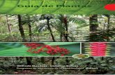 Guía de Plantas - pmbcamisea.coma-de-plantas_PMB.pdf · Mapa de unidades de paisaje / Mapa apatogetakara timagetatsirira ... Glosario Niagantsi komugetankicharira Índice de especies