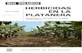 HERBICIDAS EN LA E ^ ^^ , ^ -^ PLATANERA · Los herbicidas de contacto son los que queman y destruyen los órganos de las malas hierbas que tocan directamente. Sola-mente son eficaces