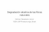 Degradaci³n alcalina de las fibras vamigo/Holmer/06-degradacion/degradacion fibras  com fibras de