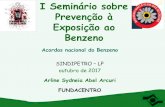 I Seminário sobre Prevenção à Exposição ao Benzeno · I Seminário sobre Prevenção à Exposição ao Benzeno Acordos nacional do Benzeno SINDIPETRO – LP outubro de 2017