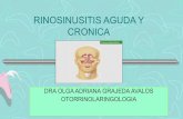 SINUSITIS AGUDA Y CRONICA - …homeopatasveracruz.com/files/61.pdf · Macrolidos: azitromicina 500 mgD, ... •Betalactamico antipseuudomonas+ciprofloxacino ó aminoglucosido •