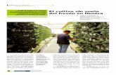 El cultivo sin suelo del fresón en Huelva - horticom.com · El cultivo de la fresa en sustrato está en plena expansión por múltiples razones: mano de obra, rotación vincu-lada