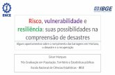 Risco, vulnerabilidade e resiliência: suas possibilidades ...€¦ · ENCE Termo polissêmico ' Medida "interna' Instituto Brasileiro de Geografia e Estatistica Vulnerabilidade A