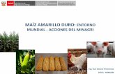 MAÍZ AMARILLO DURO: ENTORNO MUNDIAL - …agroaldia.minagri.gob.pe/biblioteca/download/pdf/videoconferencias/... · obtener mejores precios por sus productos, o la generación de