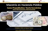 Presentación de PowerPoint - Pablo Saravia Tasayco | … · 2017-03-14 · color y publicidad) •Bienes complementarios (pan con jamón; mantequilla; ... tampoco se contabiliza
