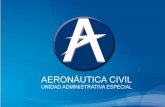 CENTRO DE ESTUDIOS AERONAUTICOS CEA - icao.int CIAC12 CEA COL.pdf · Bogotá y asume el nombre actual de Centro de Estudios Aeronáuticos - ... y auxilios de viaje . 4. ... Ejecución