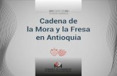 Cadena de la Mora y la Fresa en Antioquia · Cadena de la Mora y la Fresa en Antioquia 4 Introducción la falta de núcleos productivos regionales que permitan el desarrollo de economías