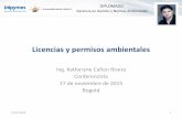 Licencias y permisos ambientales · Sector Minero Piedras preciosas y semipreciosas ... Fuente