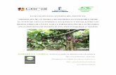 EVALUACIÓN FINAL EXTERNA DEL PROYECTO - … · 2018-05-16 · El presente informe de la evaluación externa final del proyecto ... productores de cacao, con la participación de