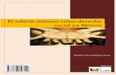 El salario mínimo como derecho social en México - …ux.edu.mx/wp-content/uploads/Investiga/Libros/libro-3.pdf · tenido el salario mínimo en México, señalo los parámetros que