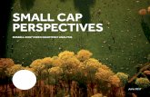 SMALL CAP PERSPECTIVES - FTSE Russell .FTSE Russell | Small Cap Perspectives: ... June 30, 2017,