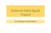 Síndrome Febril Agudo Tropical123userdocs.s3-website-eu-west-1.amazonaws.com/d/b5/b3/... · Como orientar el SFA tropical en Colombia •Área geográfica •Periodo de incubación