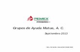 Grupos de Ayuda Mutua, A. C. - ptq.pemex.gob.mx€¦ · por que? • transparencia
