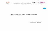 AGENDA DE RACISMO - COPRED – Bienvenidosdata.copred.cdmx.gob.mx/.../03/Incidencia-del...de-racismo-Dossier.pdf · La incidencia del COPRED en materia de Racismo ... la discriminación