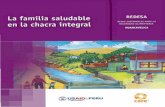 I PERU - BVS Minsa | Biblioteca Virtual en Salud del ...bvs.minsa.gob.pe/local/minsa/1435.pdf · sanitaria y mejora los aspectos sociales y económicos de la familia y la comunidad,