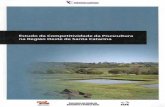 ESTUDO DE COMPETITIVIDADE - …docweb.epagri.sc.gov.br/website_cepa/publicacoes/competitividade... · mão-de-obra abundante e crescimento na demanda ... a piscicultura “modelo