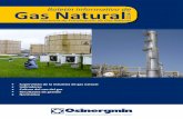 Gerencia de Fiscalización de Gas Naturalgasnatural.osinerg.gob.pe/contenidos/uploads/GFGN/osinergmin... · distribución de gas natural por red de ductos ... locaciones y tendido