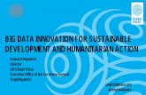 BIG DATA INNOVATION FOR SUSTAINABLE DEVELOPMENT … · BIG DATA INNOVATION FOR SUSTAINABLE DEVELOPMENT AND HUMANITARIAN ACTION . ... big data in the achievement of the SDGs. ... Global