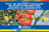 Plan de Manejo Integrado de Enfermedades del …labmedios.com/.../uploads/2017/05/Manual-de-Tomate.pdfPLAN DE MANEJO INTEGRADO DE ENFERMEDADES DEL TOMATE EN GUATEMALA Solanum lycopersicum