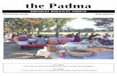 the Padma - Berkeley Buddhist Temple · the Padma . BERKELEY BUDDHIST TEMPLE . November 2016 Web Edition . Our Vision . A Community Where Our Spiritual Life And True Self Can Be Realized