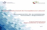 Norma Institucional de Competencia Laboral - gob.mx · Elaborar el informe de conclusión de obra o proyecto acompañando en el cierre del proceso de conservación y restauración