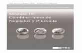 Módulo 19: Combinaciones de Negocios y Plusvalíaelernova.edu.co/E-books/niif/secciones/pdf/19_Business... · La traducción al español del Material de formación sobre la NIIF