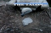 February 2018, Volume I, Issue I THE TALON · 2 IN THIS ISSUE Welcome! Welcome to the inaugural issue of the Raptor TAG newsletter! We are so excited for the opportunity to share