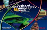 Basics of Light Microscopy Imaging - Macrofotografia · Basics of Light Microscopy & Imaging Imaging &Microscopy RESEARCH • DEVELOPMENT • PRODUCTION SPECIAL EDITION OF