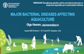 MAJOR BACTERIAL DISEASES AFFECTING AQUACULTURE … · MAJOR BACTERIAL DISEASES AFFECTING AQUACULTURE Olga Haenen, olga.haenen@wur.nl Aquatic AMR Workshop 1: 10-11 April 2017, Mangalore,